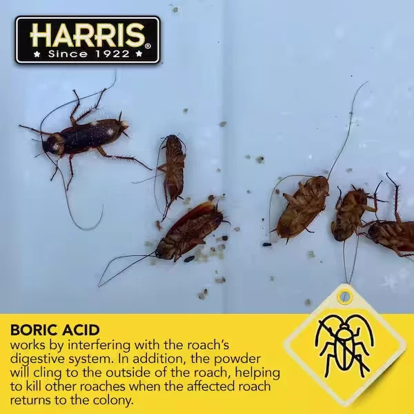 HARRIS Boric Acid Roach and Silverfish Killer Powder w/Lure for Insects (16oz).