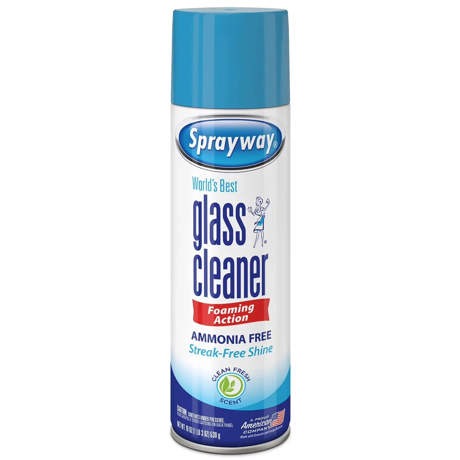 Sprayway Glass Cleaner 19 Ounce Pack of 4 Streak Free Shine – FREE SHIPPING