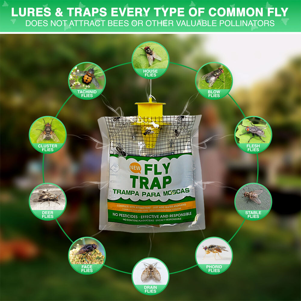 outdoor disposable fly traps to keep outdoor ranches free from annoying fly