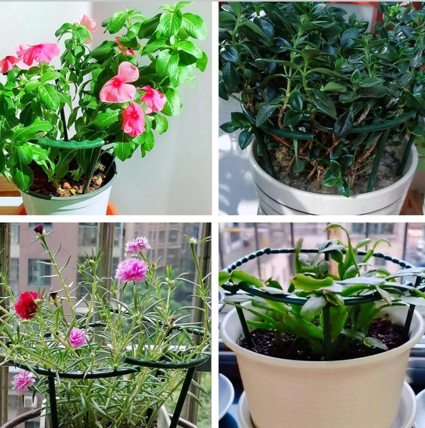8PCS Plastic Semicircle Plant Support Frame for Vines & Flowers (6.1in × 10.6in)