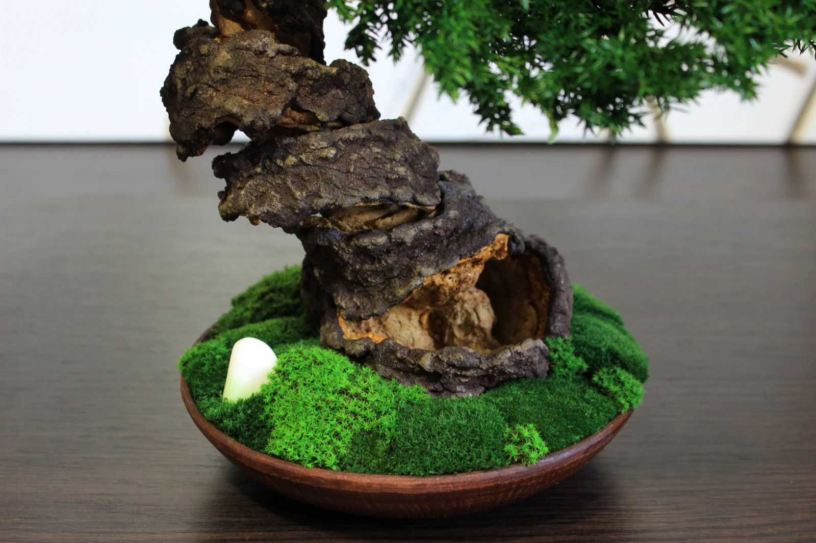 Preserved Juniper Bonsai – Handmade Interior Art Sculpture. 41 cm / 16,14″
