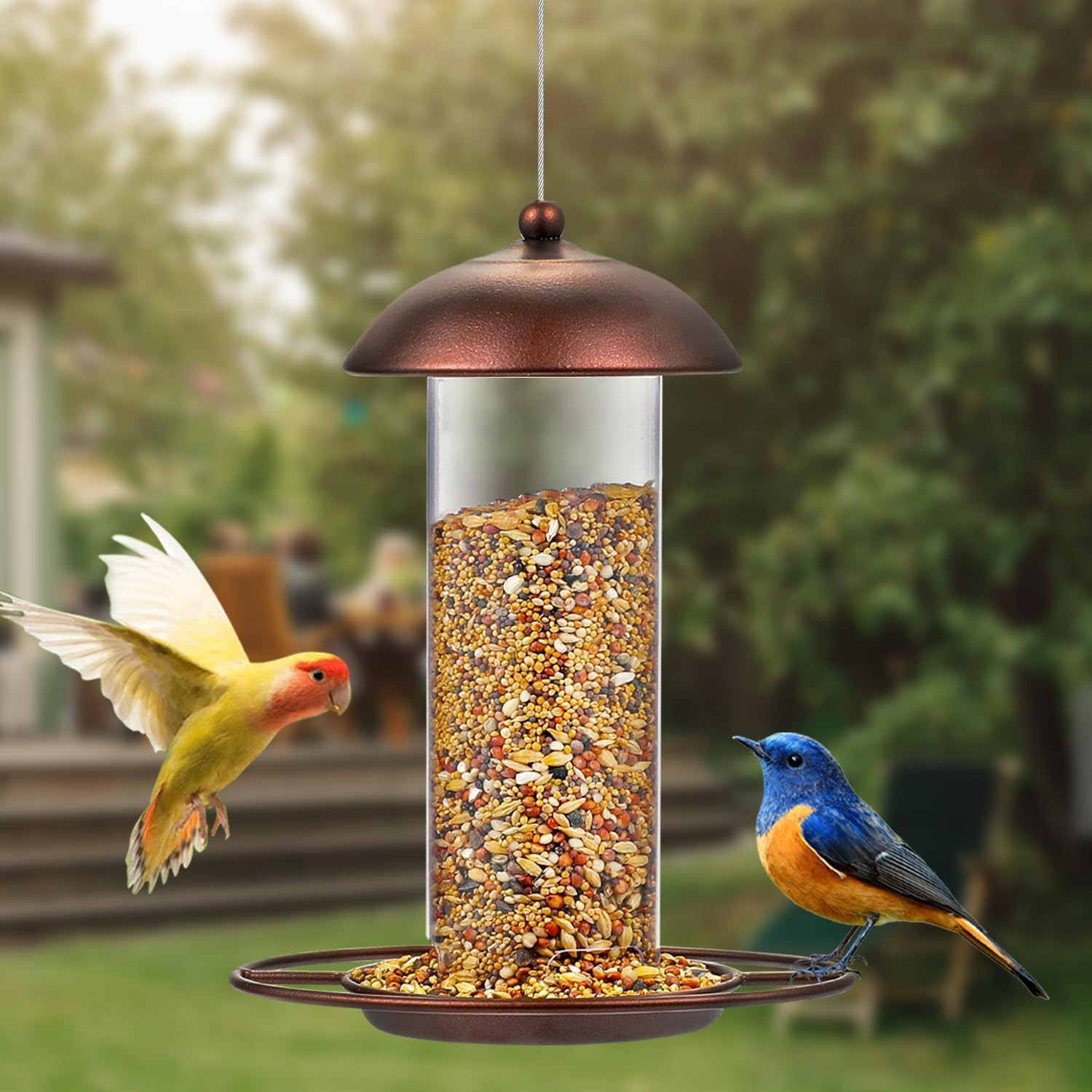2 Pack Metal Wide Bird Feeders – Hanging Outdoor Bird Feeder with 1.6Lbs Capacit