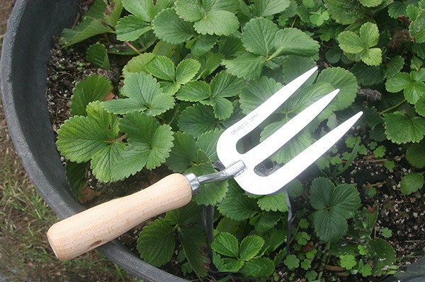 Weeding Fork Hand Garden Tool Stainless Steel Wood Handle Gardening Implement