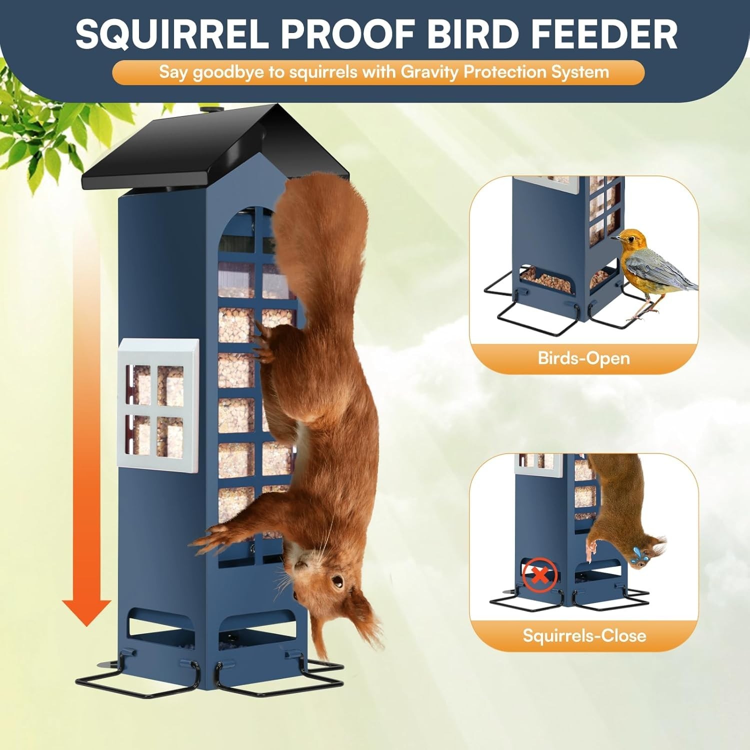 All-Weather Squirrel Proof Bird Feeder – 2LB Capacity, Adjustable Perches – Blue