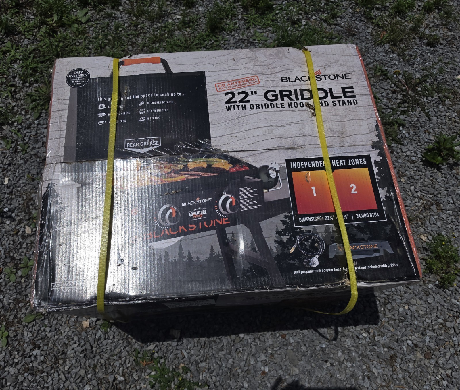Blackstone 22 in Propane Griddle 2 Burner 24000 BTU w/ Hood & Stand Portable
