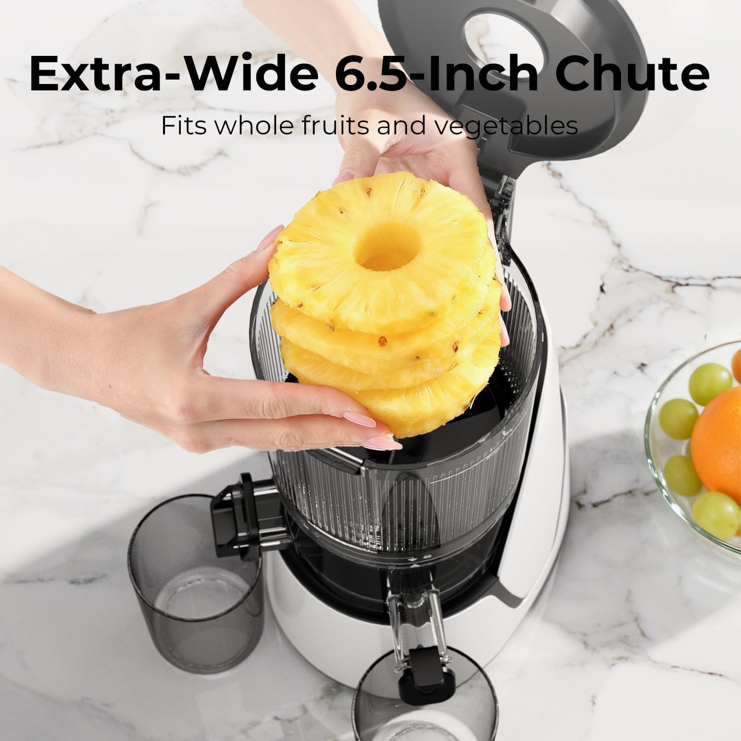 High-Performance Cold Press Juicer: 250W Motor, 100oz with Dishwasher Safe Parts