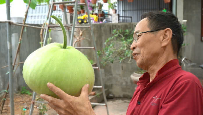 Giant Round Gourd Seeds | Calabash Gourd Seeds | Non-GMO, High Yield, Organic