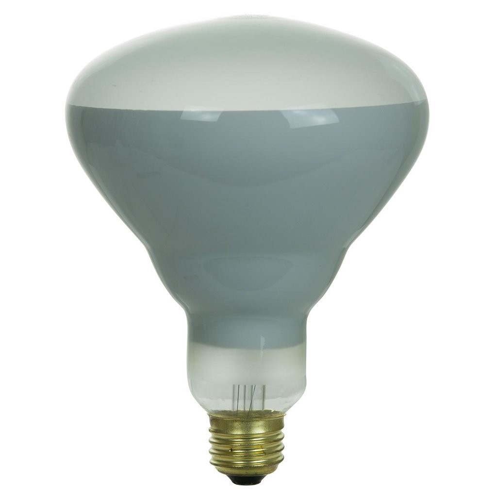 Damar BR 40 65W Indoor Flood Light Bulbs White Pack of 12 Alt To Phillips Brand