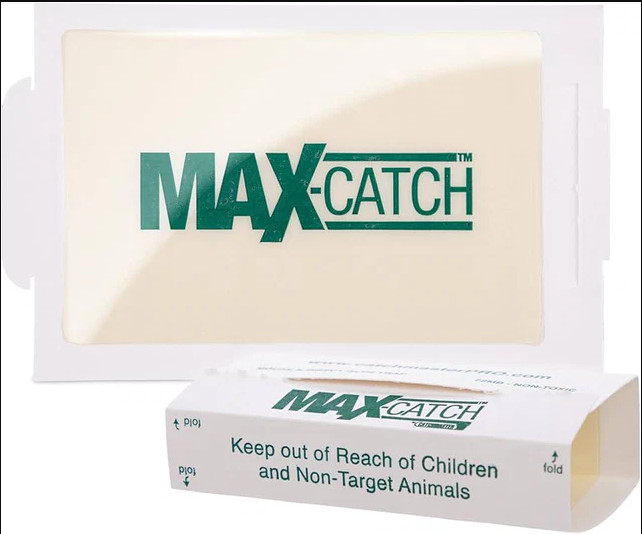 Catchmaster 72Max Glue Board Mouse Insects Trap Free shipping