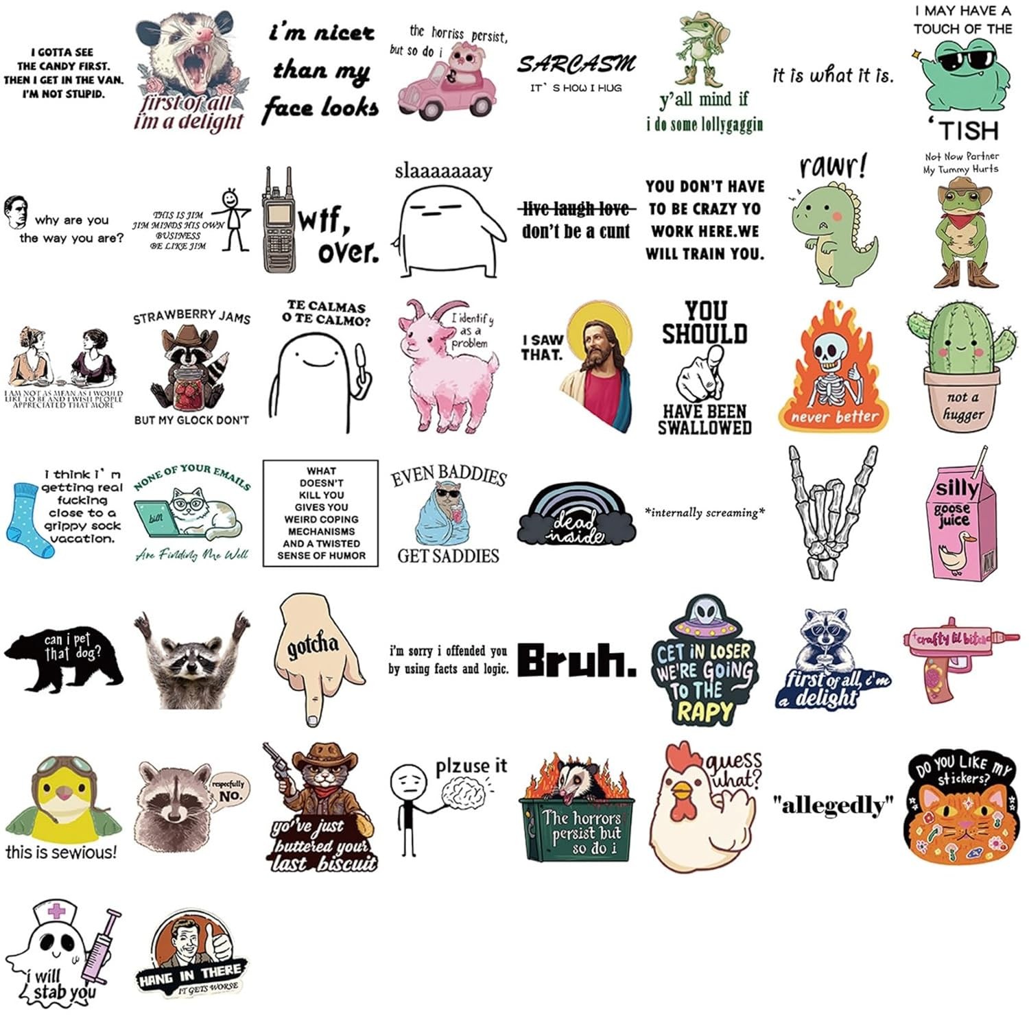 Adult Funny Meme Stickers Vinyl Stickers for Kids Teens Adults 50Pcs Set