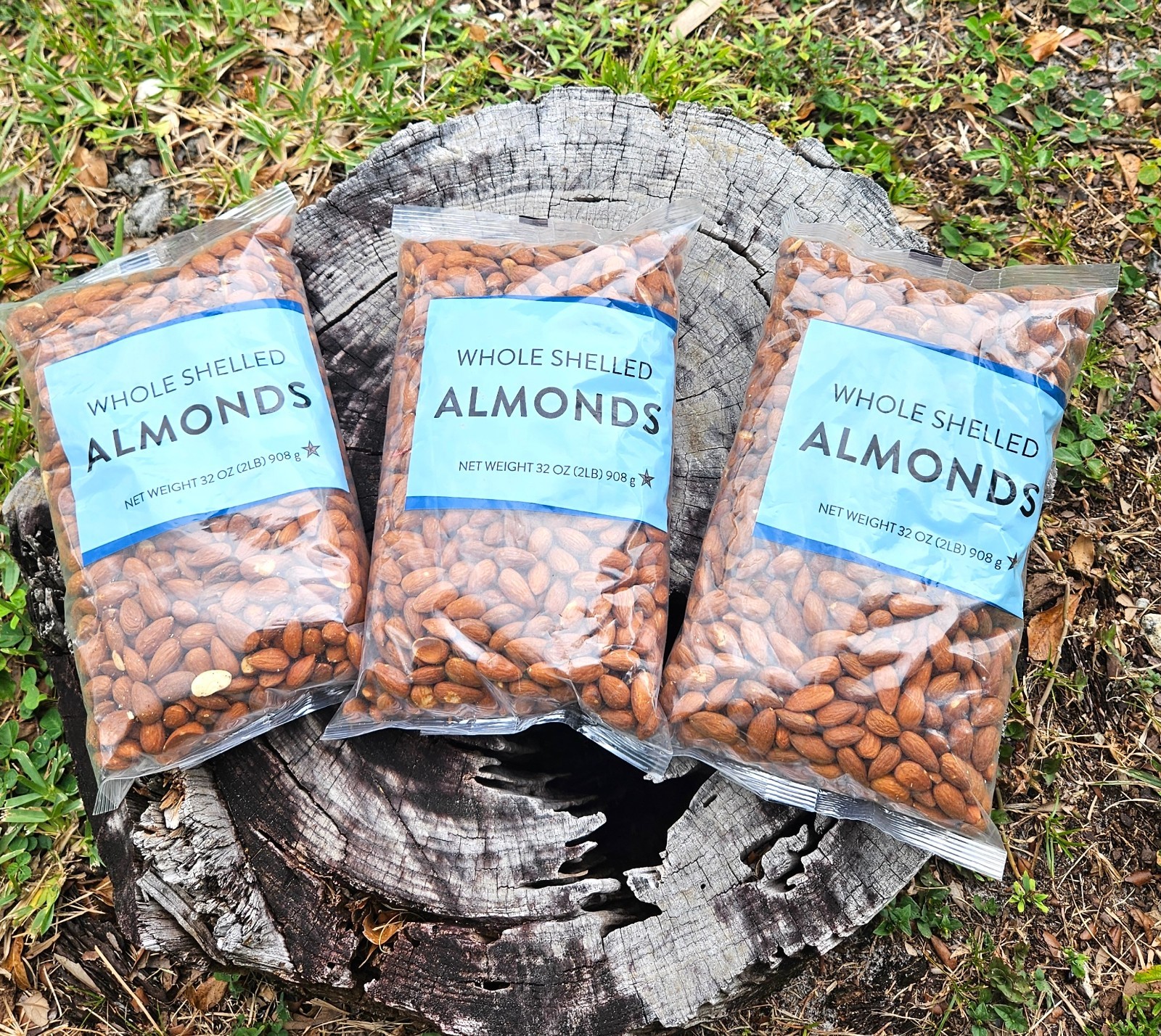 TOTAL 3 BAGS – Whole Shelled ALMONDS Nuts Pearl Crop – Total 6 LB Pounds – 04/27