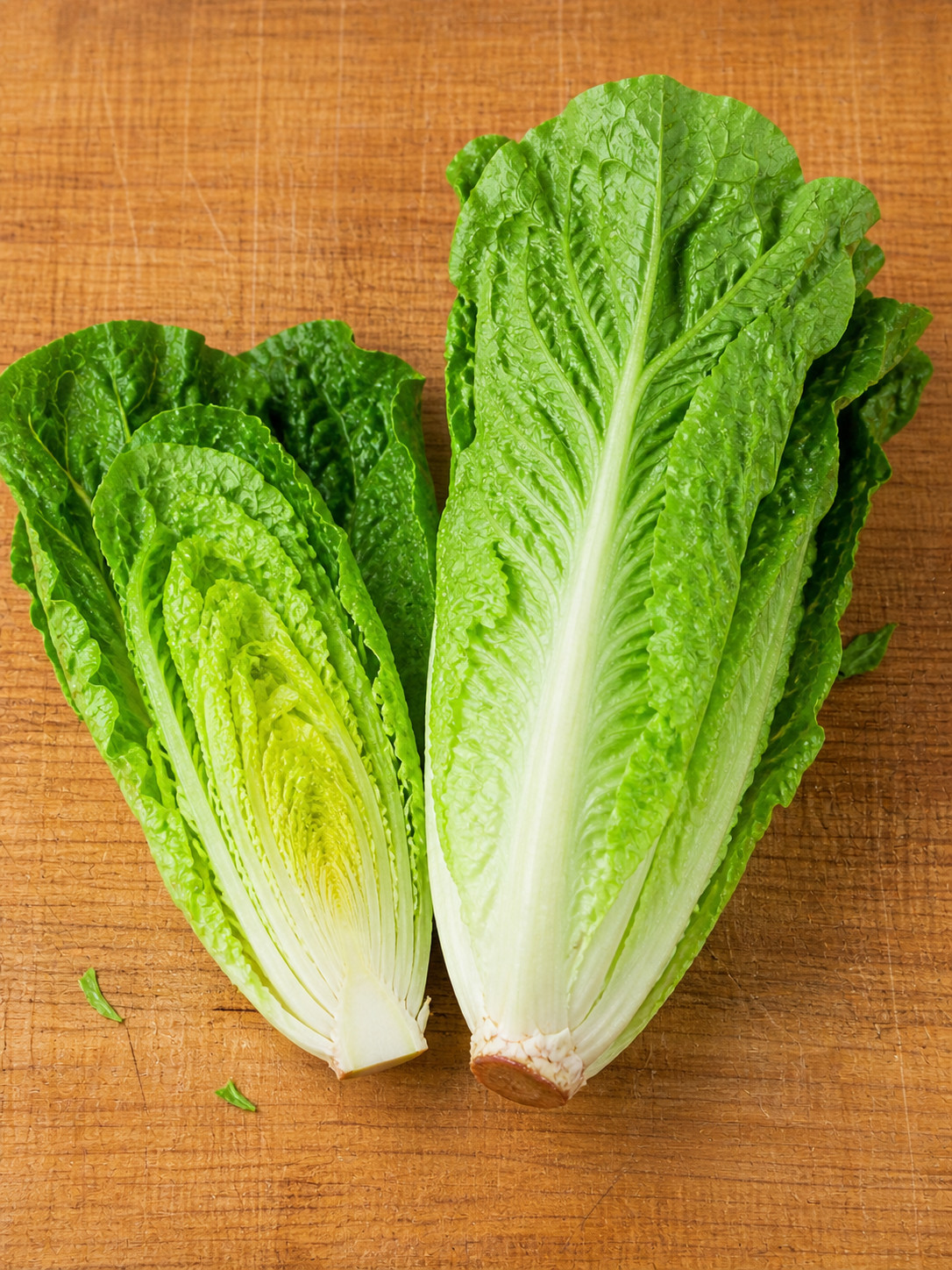 1250 Heirloom Giant Caesar Romaine Lettuce Seeds – Crisp & Sweet Classic Lettuce