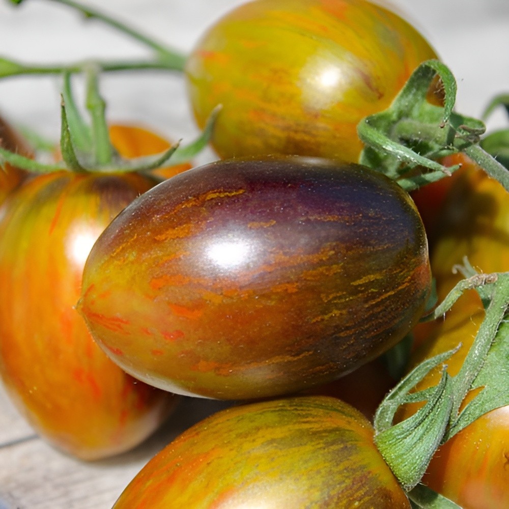 100 Brad’s Atomic Grape Tomato Seeds – Unique Rare Sweet Heirloom Variety