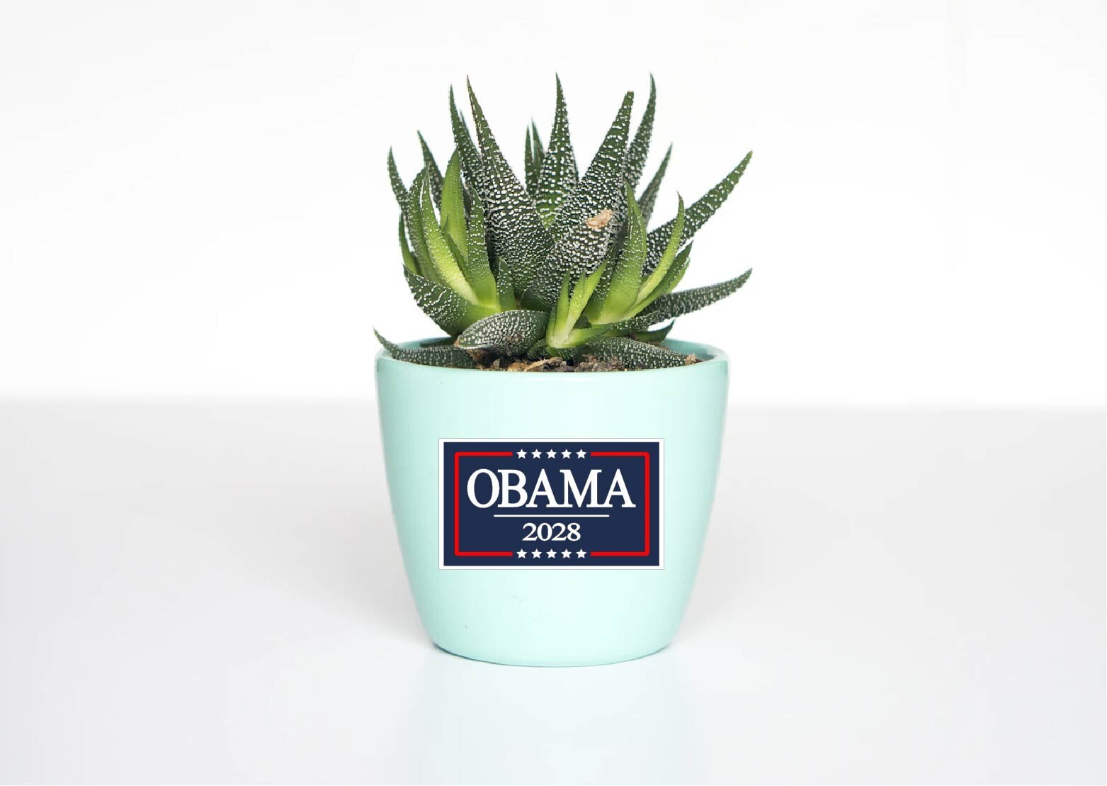 Obama 2028 Decal Sticker Vote 3rd Term President Democrat Anti Trump Political