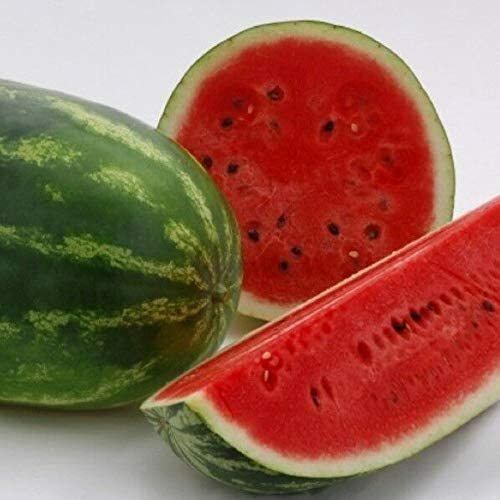 All Sweet Watermelon Seeds | Heirloom / Non-GMO | Free Shipping | 1045