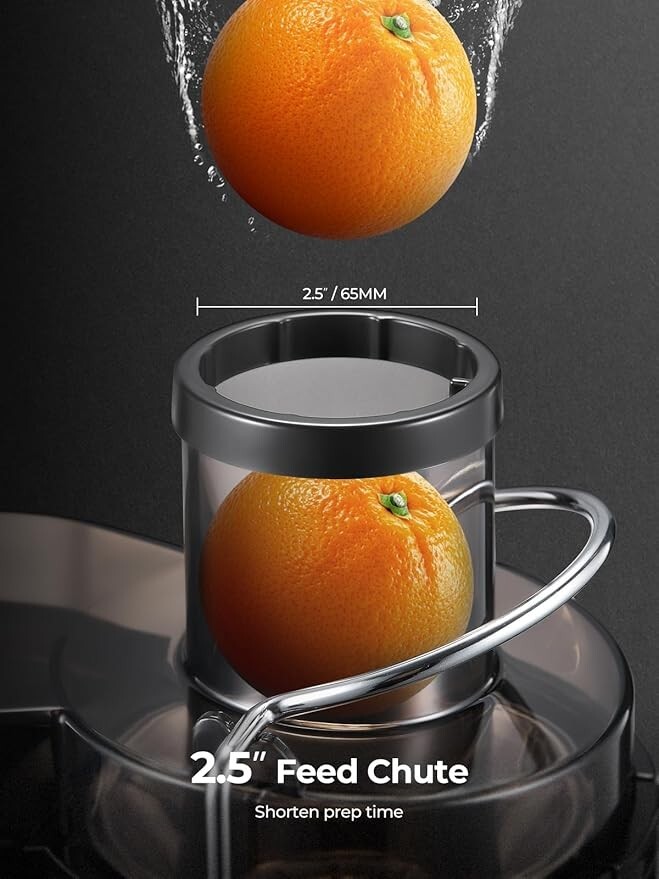HOUSNAT Whole Fruit and Vegetables with 3-Speed Setting, Upgraded Version