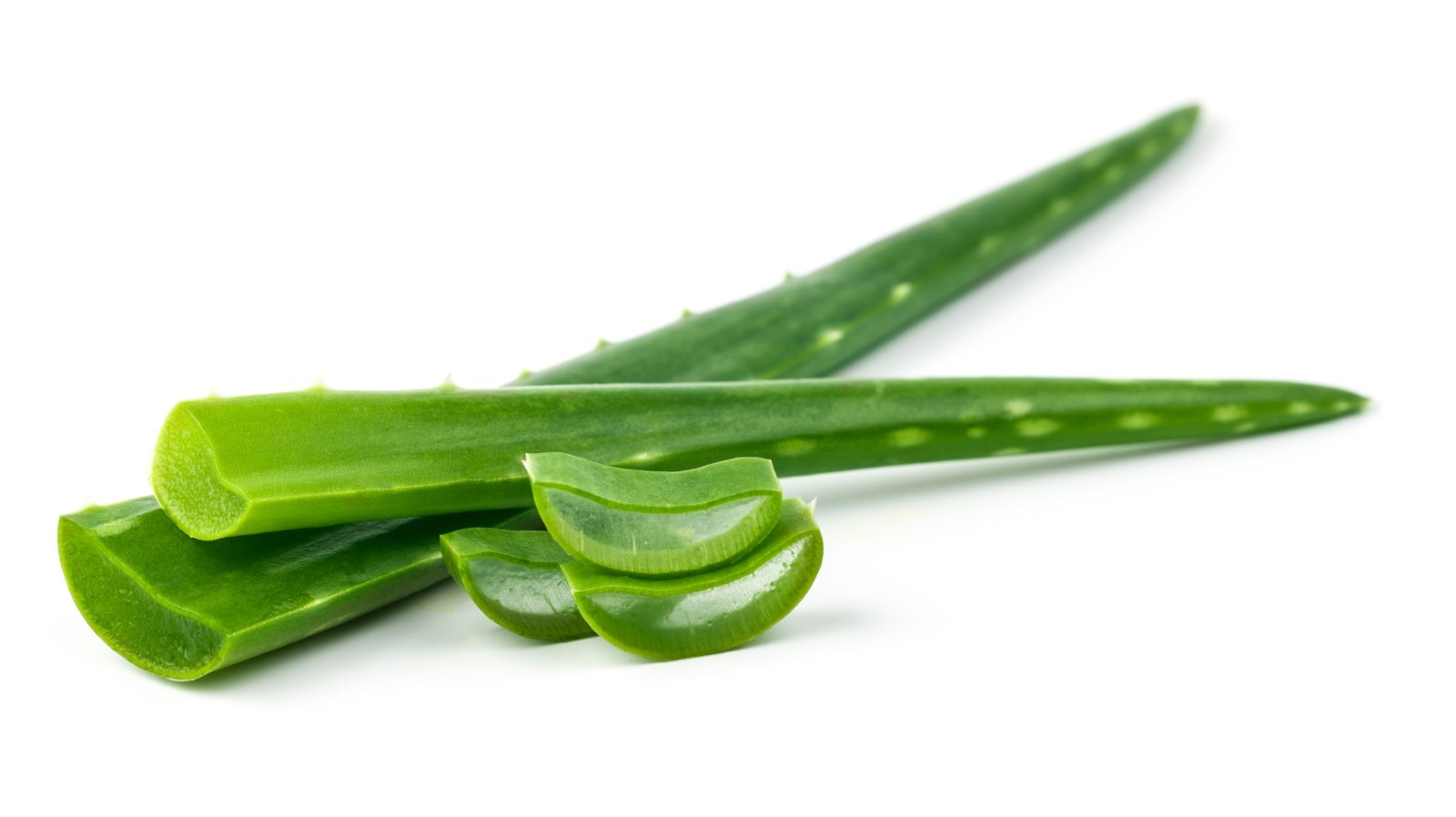 Aloe Vera gel powder 4oz 8oz 16oz 1lb 32oz 2lb 3lb 8lb 20kg Paje beauty nutriti