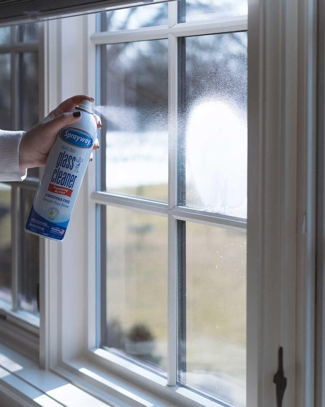 Sprayway Glass Cleaner with Foaming Spray for a Streak-Free 19 oz., Pack of 12