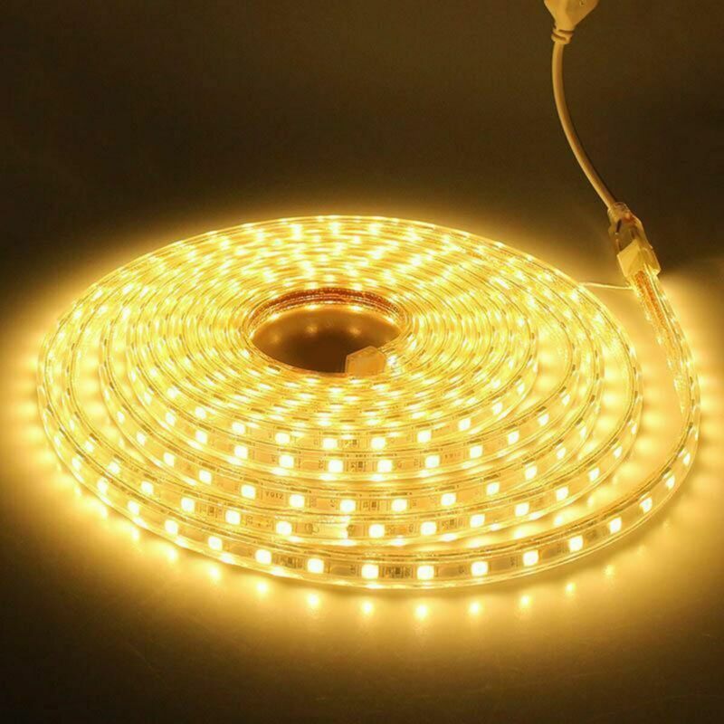 110V 220V 1m-20m Waterproof 5050 LED Flexible Tape Rope Strip Light Xmas Outdoor