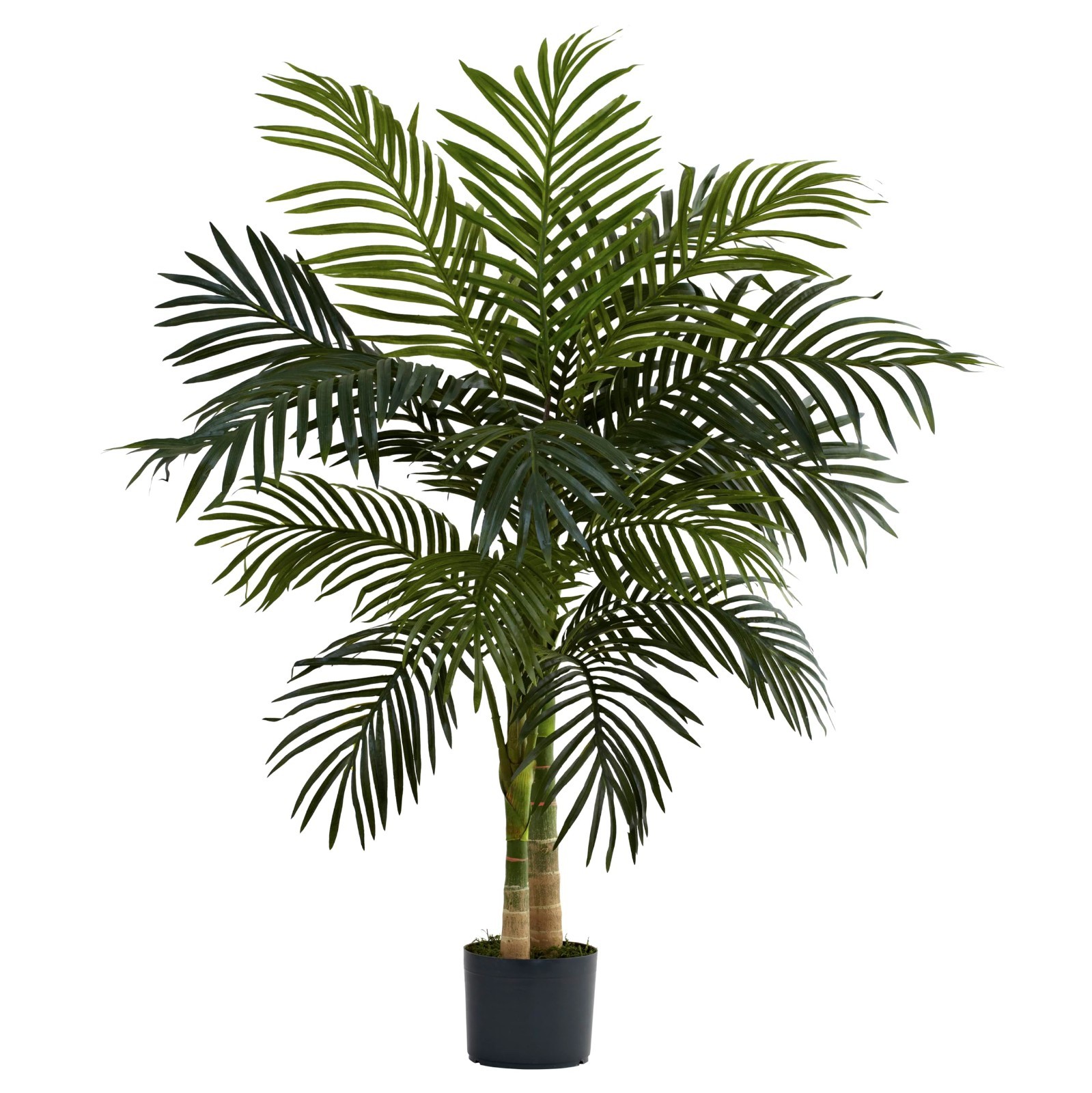 NOVAROOT 6FT Double Golden Cane Palm Artificial Tree Lush Realistic Home Decor