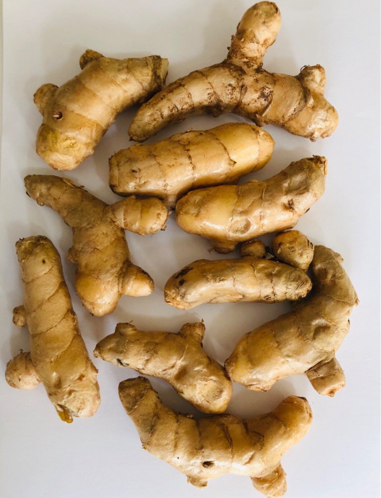 10PCS TUMERIC ROOTS FOR PLANT-CURCUMA LONGA-ARTHRITIS PAIN,MAKE TEA,COOKING