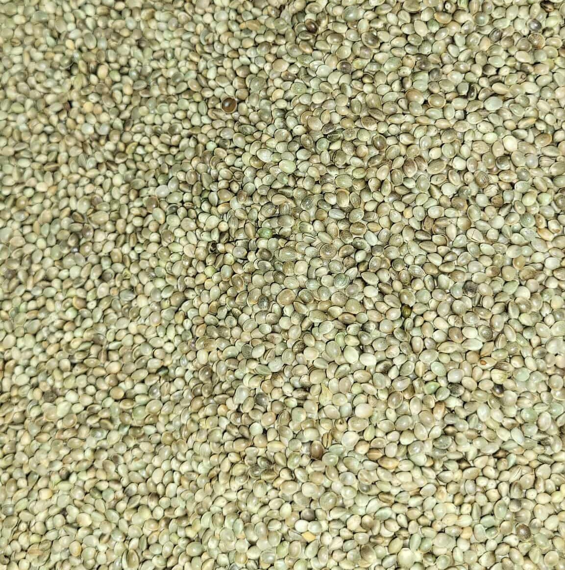 Premium Kosher Hemp Seed Nuts – 100% Food Grade & Nutrient-Rich!