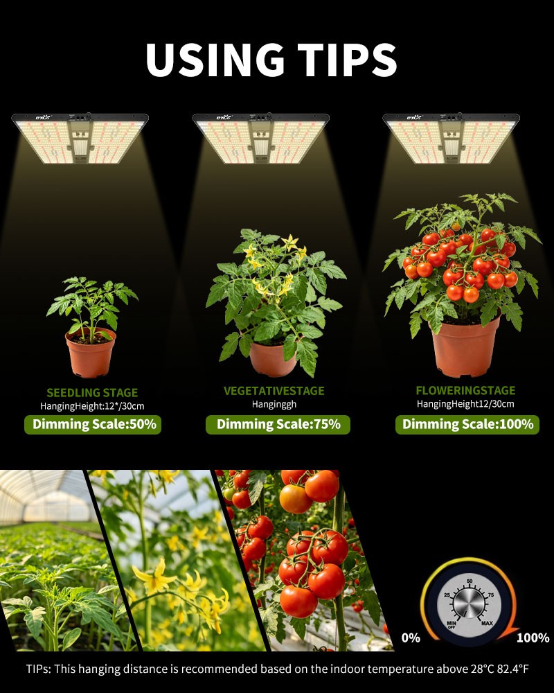 CTLite 2000W LED Grow Light 4×4FT Coverage Commercial Full Spectrum Growing Lamp