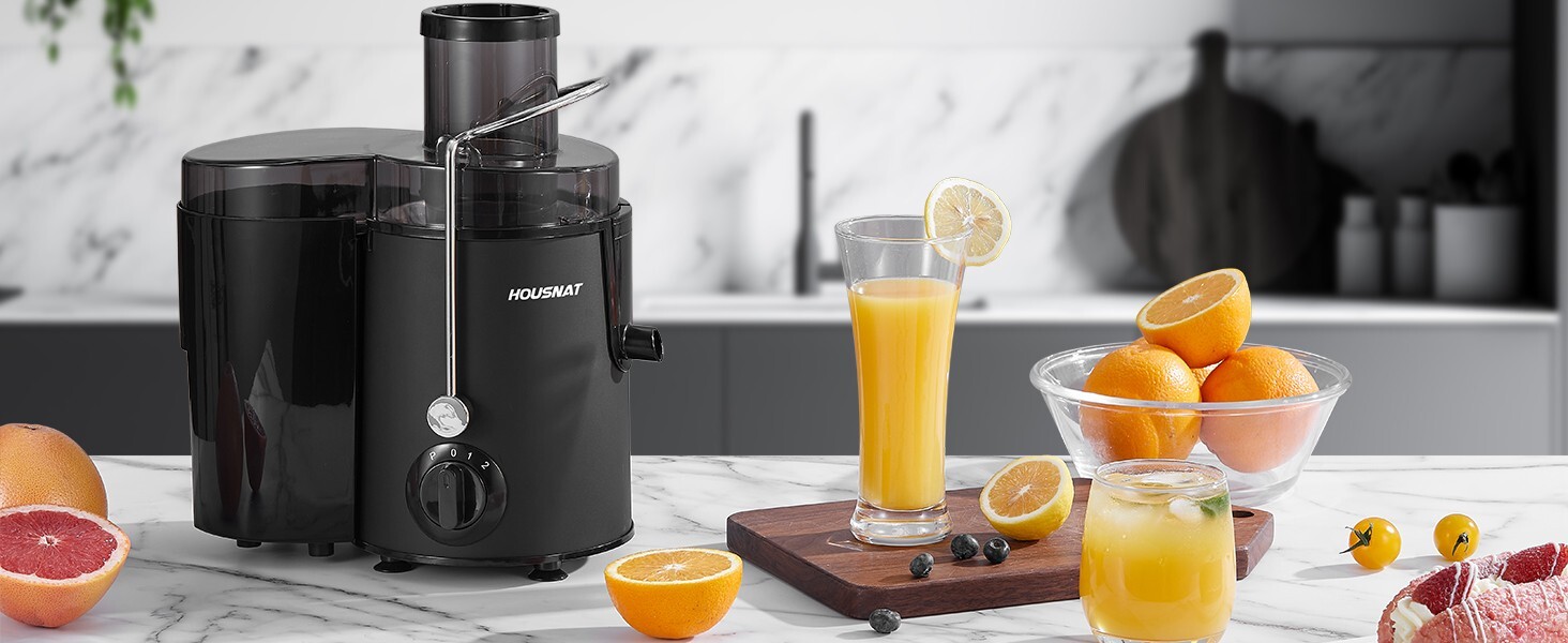 HOUSNAT Whole Fruit and Vegetables with 3-Speed Setting, Upgraded Version