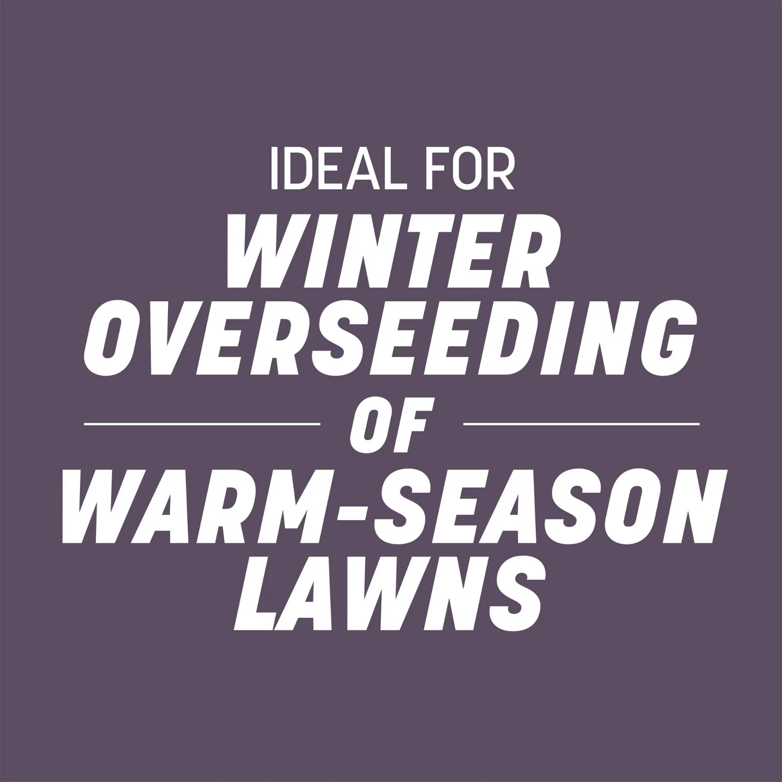 Pennington Annual Ryegrass Grass Seed Full Sun Partial Shade 10 lb Bag New