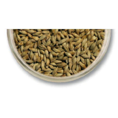 10 Lb Pilsner Malt – Viking Lager Pale – Homebrew Beer Base Grain 1.7-2.2 °L