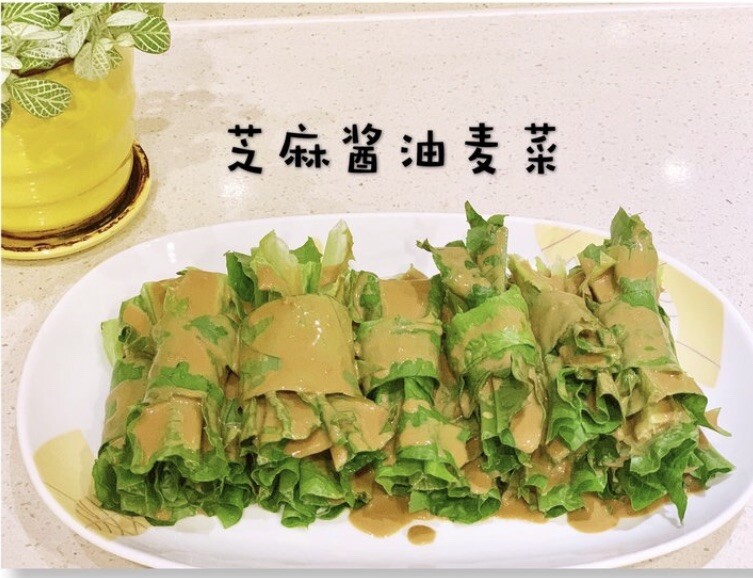 500+ A Choy、Yu Mai Tsai、Sword Lettuce Seeds 500多粒油麦菜、A菜种子 2023年产的新种子