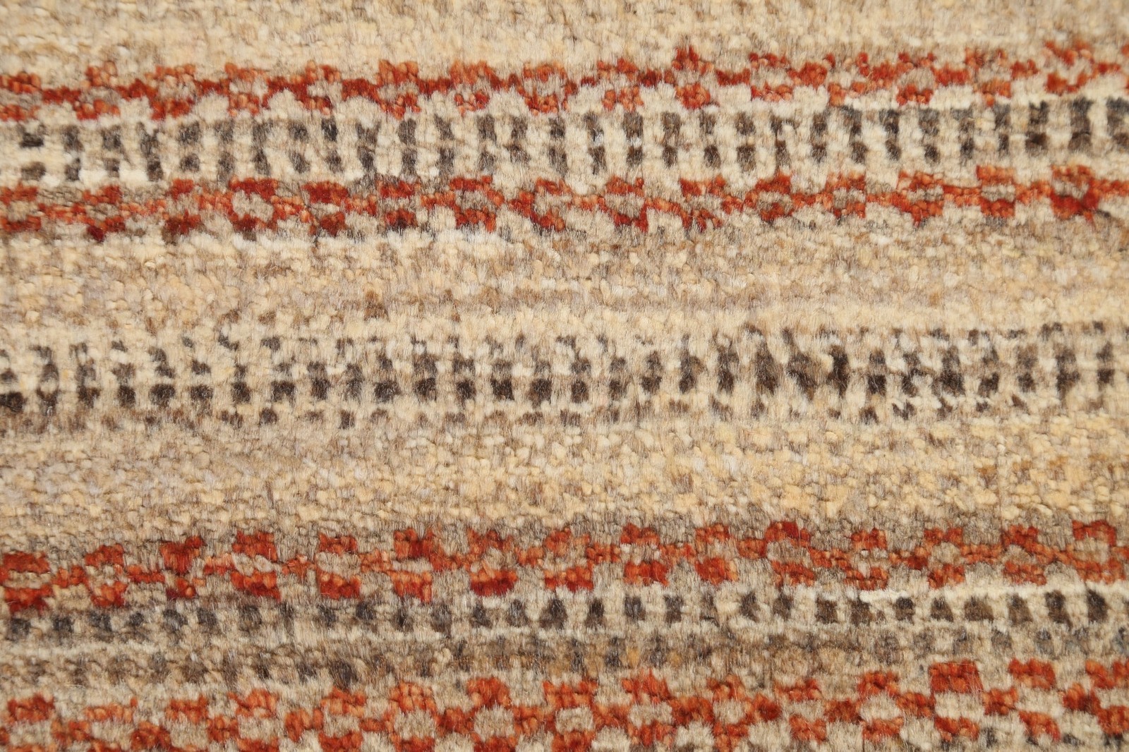 Modern Area Rug 4×6 Hand-knotted Wool Pakistani Oriental Carpet for Any Room