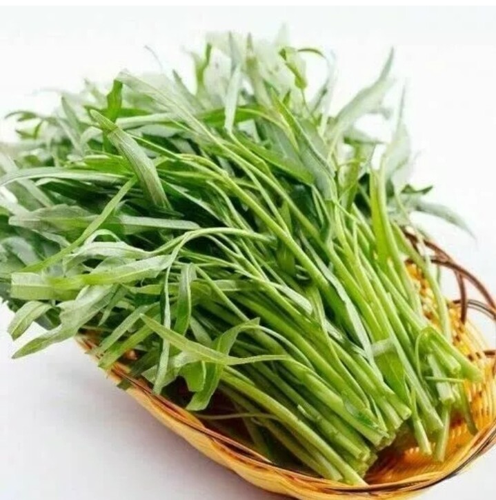 2025Aug. NEW! water spinach ong choy 4000+ seeds （200g） Vegetable