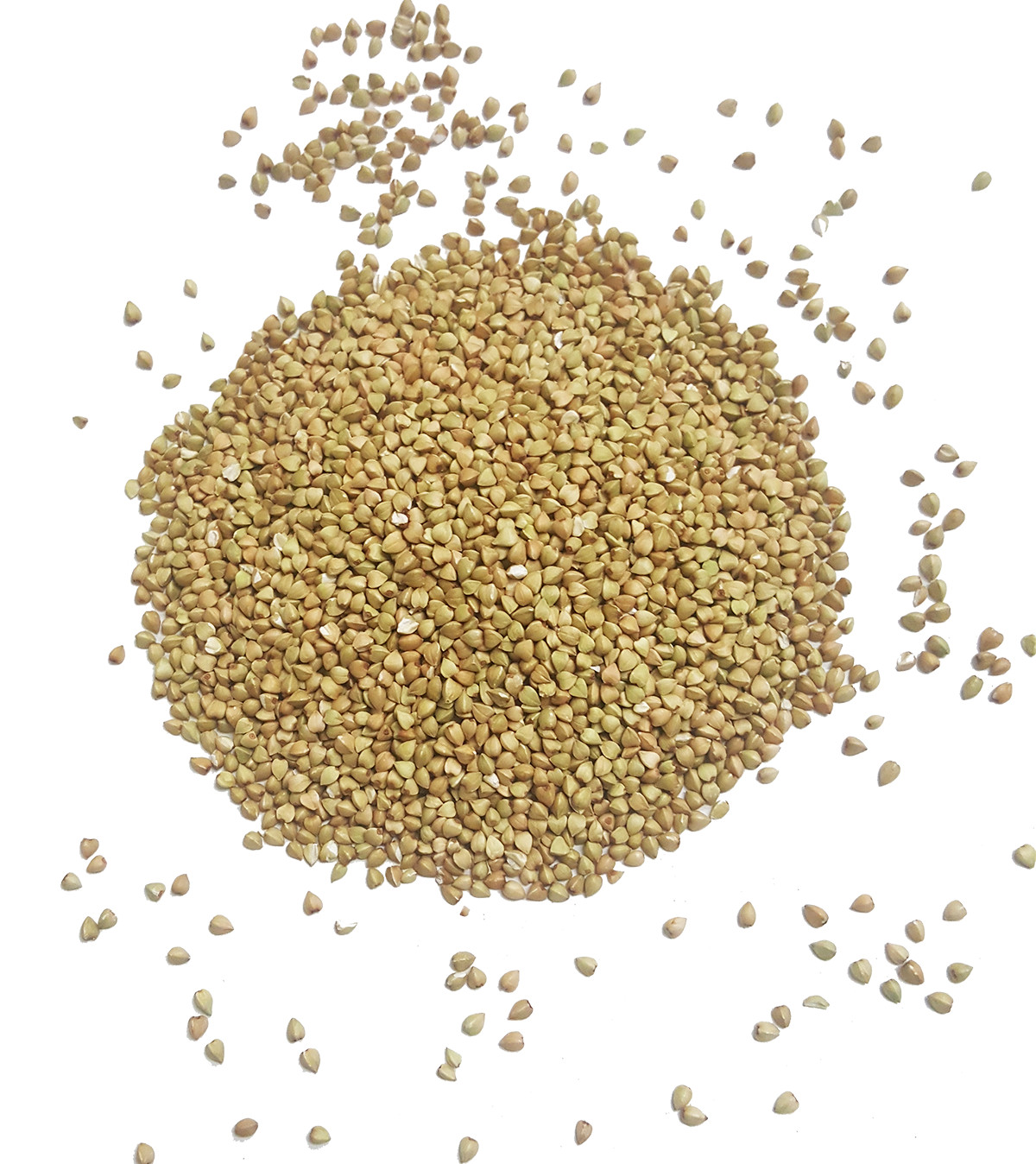 Certified USDA Organic Buckwheat Groats non-GMO, Vegan, Raw, Bulk Product of USA