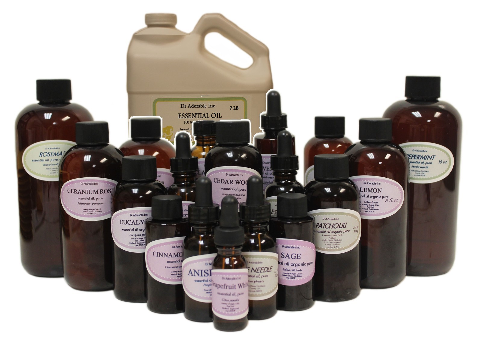 Ravintsara Essential Oil Aromatherapy Sizes from 0.6 oz to Gallon Free Shipping