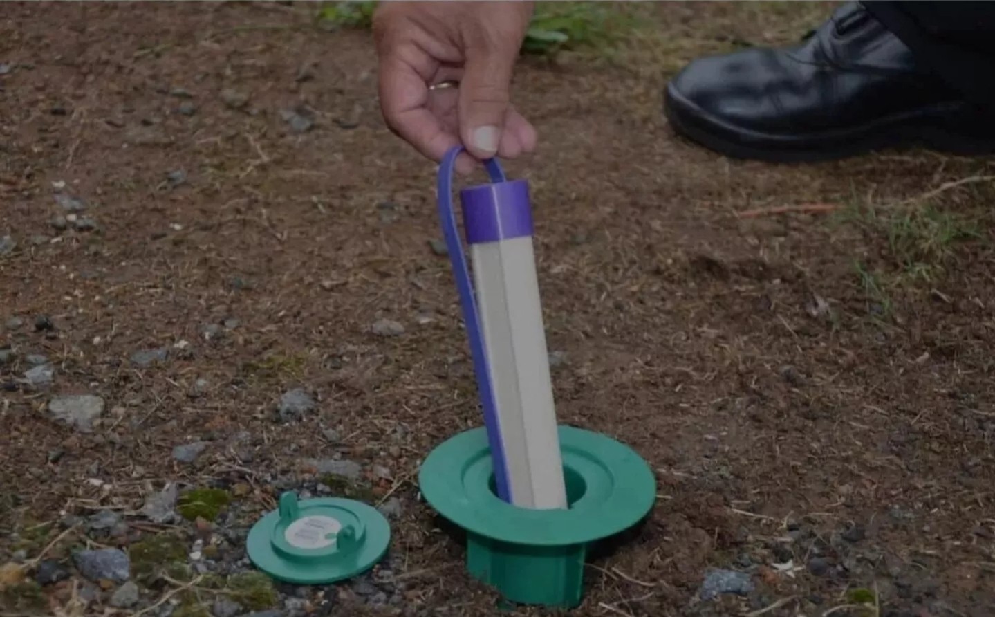 (10) Green SubterraneanTermite In-ground Sticks Stations + 5 Caps