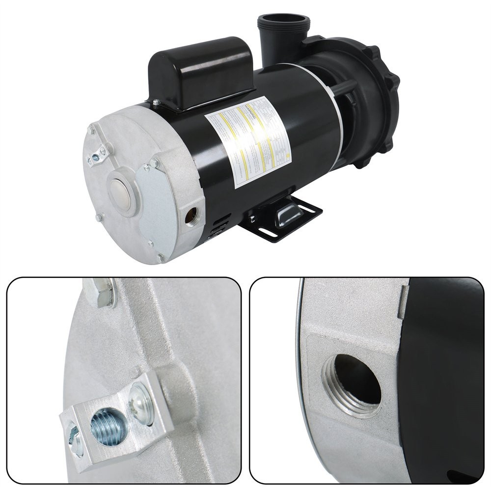 Executive 56-Frame 4HP Dual-Speed Spa Pump, 2in Intake, 2in Discharge