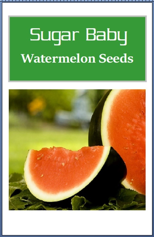 Sugar Baby Watermelon Seeds | NON-GMO | Heirloom | Fresh Garden Seeds