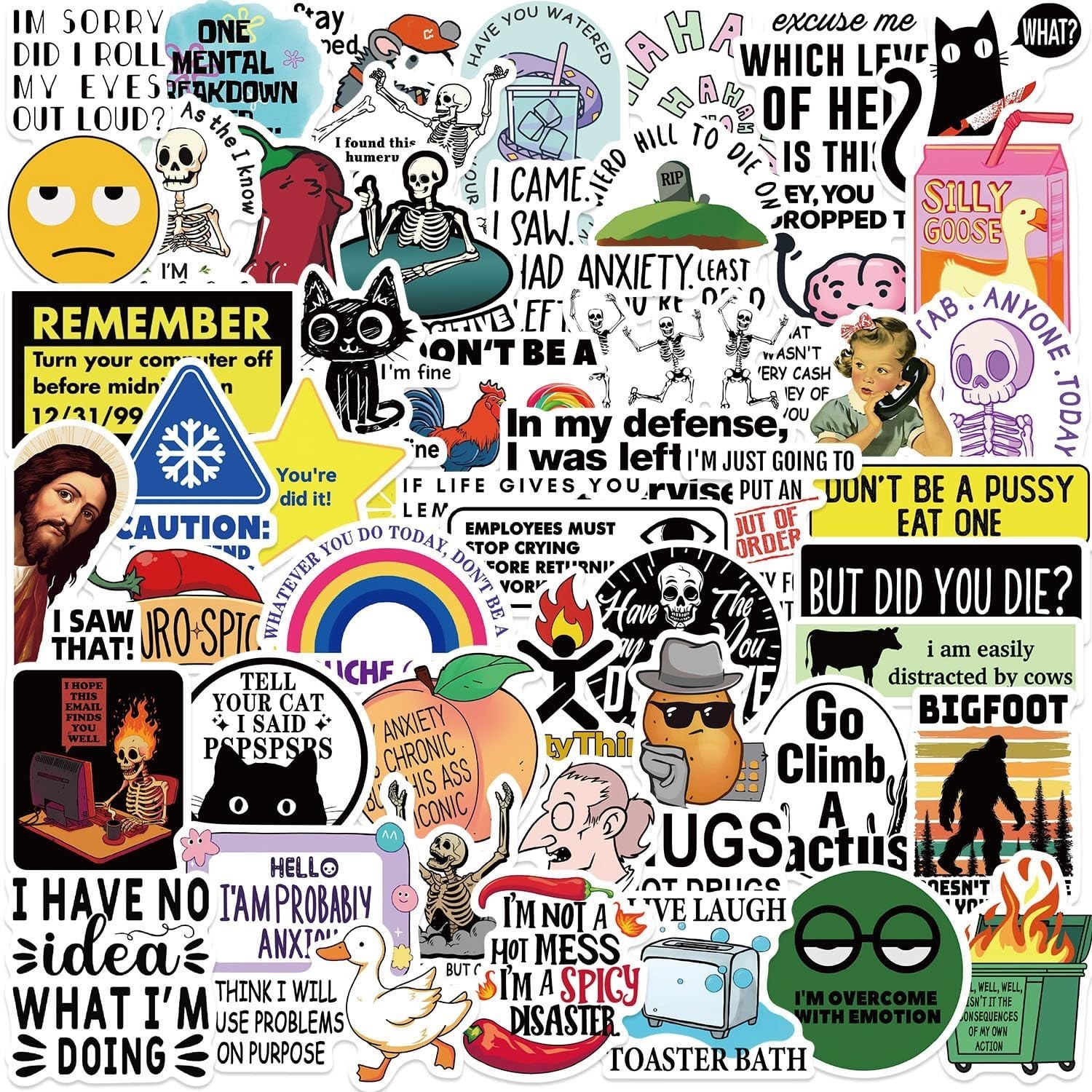 50Pcs Funny Adults Stickers Bulk, Prank Meme Sticker for Kids Teens Adults, S…