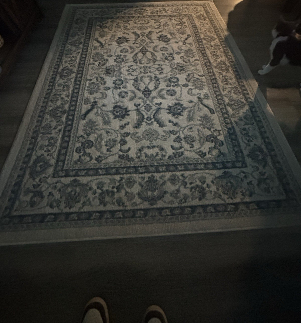 Rectangle Floral Area Rug 4 x 6 ft Beige Blue Pattern for Any Room
