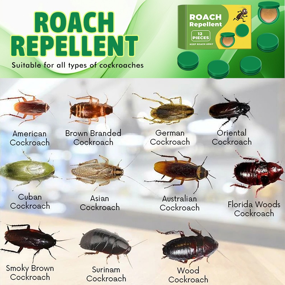 12-48PCS Cockroach Gel Bait Roach Killer Powerful Roach Repellent Bait Trap