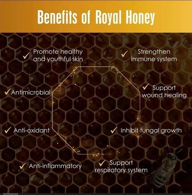 2 Jars Kinohimitsu Wild Tualang Honey 500g ( No import Duties For USA )