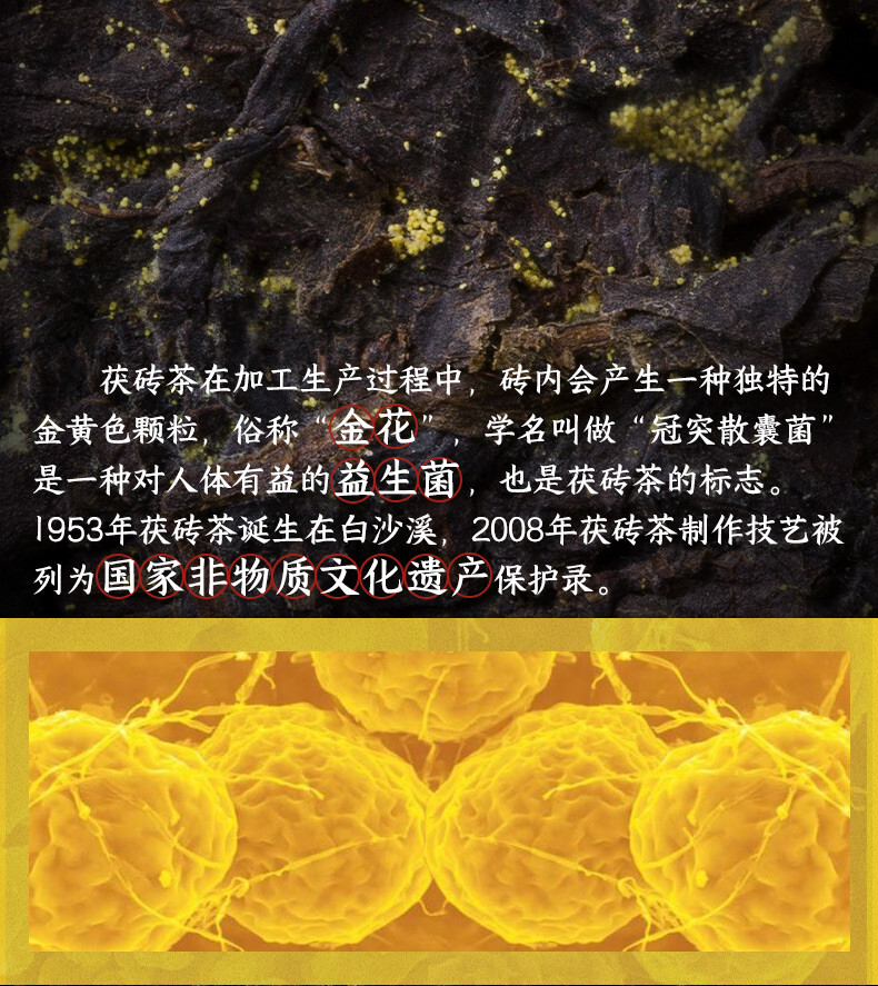 BAISHAXI Tian Fu Cha Anhua Golden Flowers Fucha Dark Tea 1000g Brick Fu Zhuan