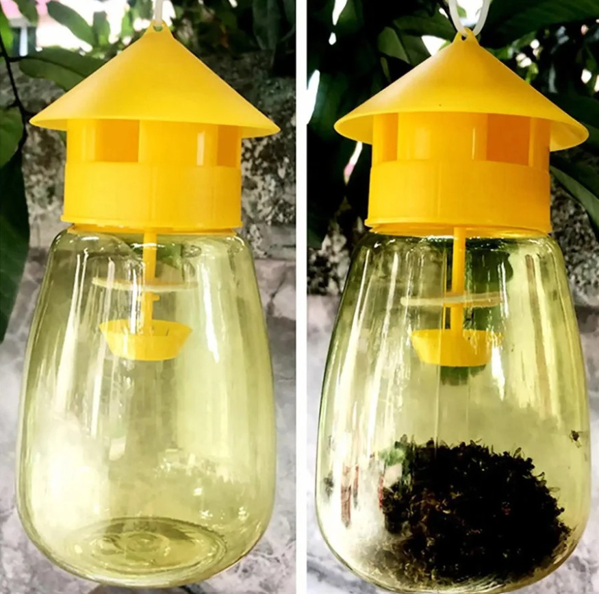 3pcs Fruit Fly & Insect Trap – Outdoor Plastic Hanging Drosophila Killer – NEW