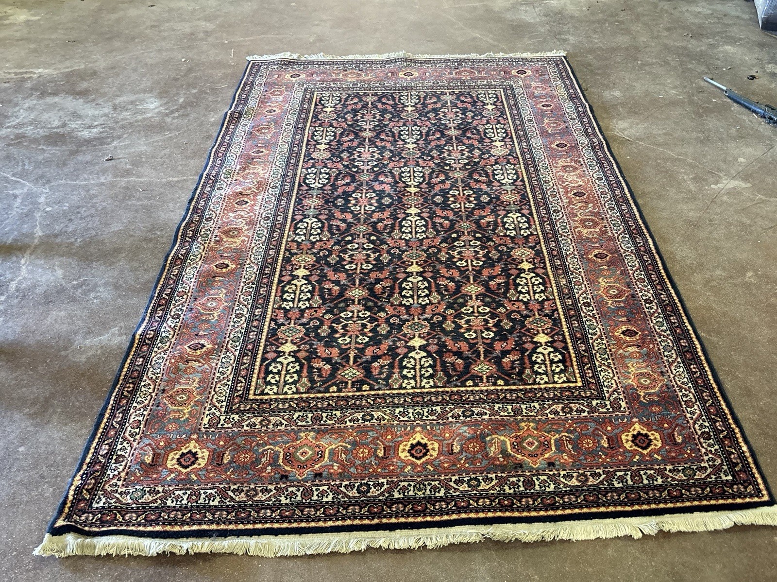 Karastan Carter’s Grove Area Rug 5.8 x 8.11 ft 100% Wool Oriental Traditional