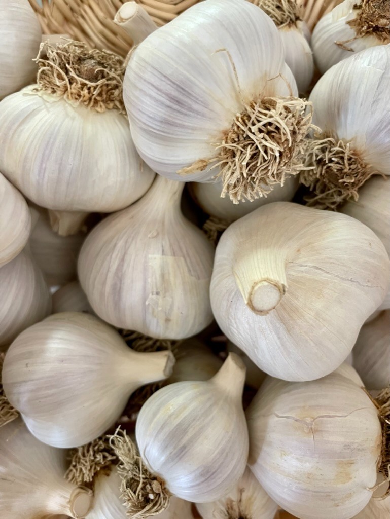 USDA Organic Romanian Red Garlic Bulbs | Spicy Gourmet Garlic | California Grown