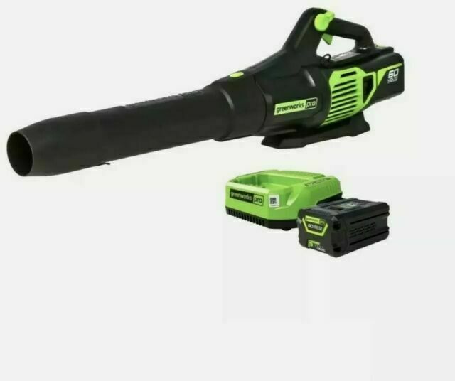 NO BATTERY Greenworks BL60L251 Electric Leaf Blower and charger