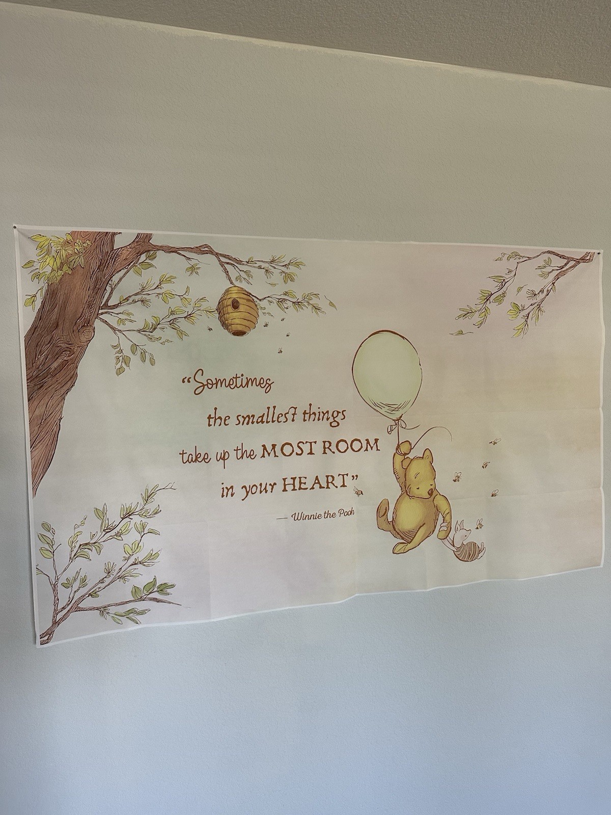Classic Vintage Pooh Bear Multicolor Party Backdrop Banner Quote 5×3 ft