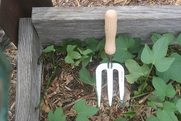 Weeding Fork Hand Garden Tool Stainless Steel Wood Handle Gardening Implement