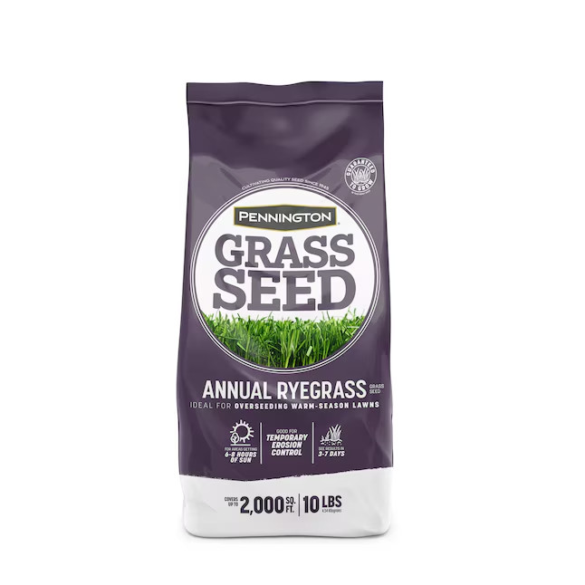 Pennington Annual Ryegrass Grass Seed Full Sun Partial Shade 10 lb Bag New
